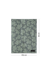Linge vitres et miroirs Mousse de tilleul (lot de 2)